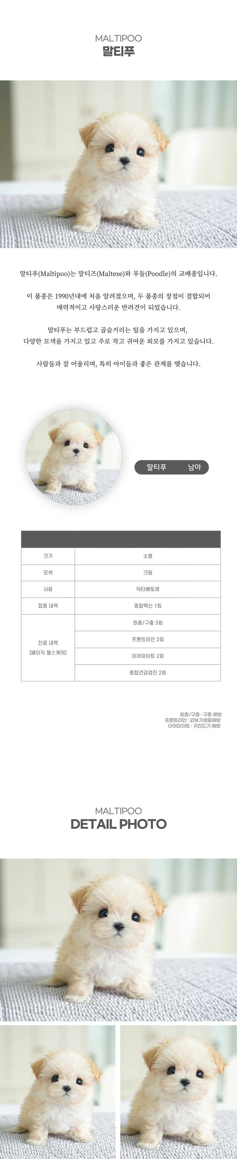 말티푸_상세이미지_2
